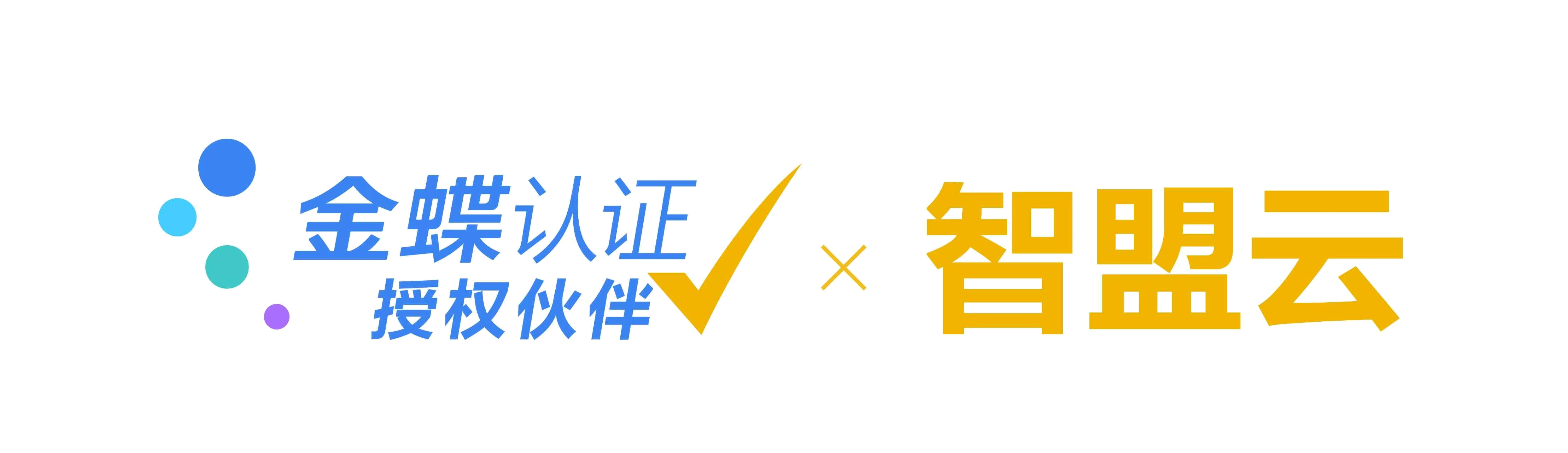 智盟云科技